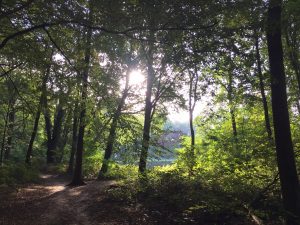 Lentewandeling: wat laat jij groeien?