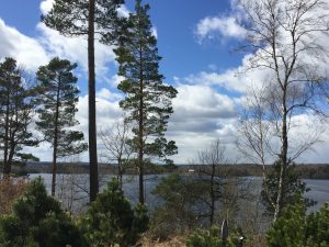 Yoga en Persoonlijke Ontwikkeling - Expeditie Flow